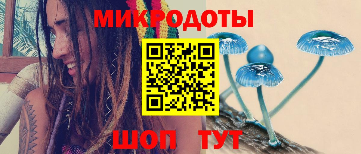 Псилоцибиновые грибы Psilocybe  Вход с VPN  Жуковский 